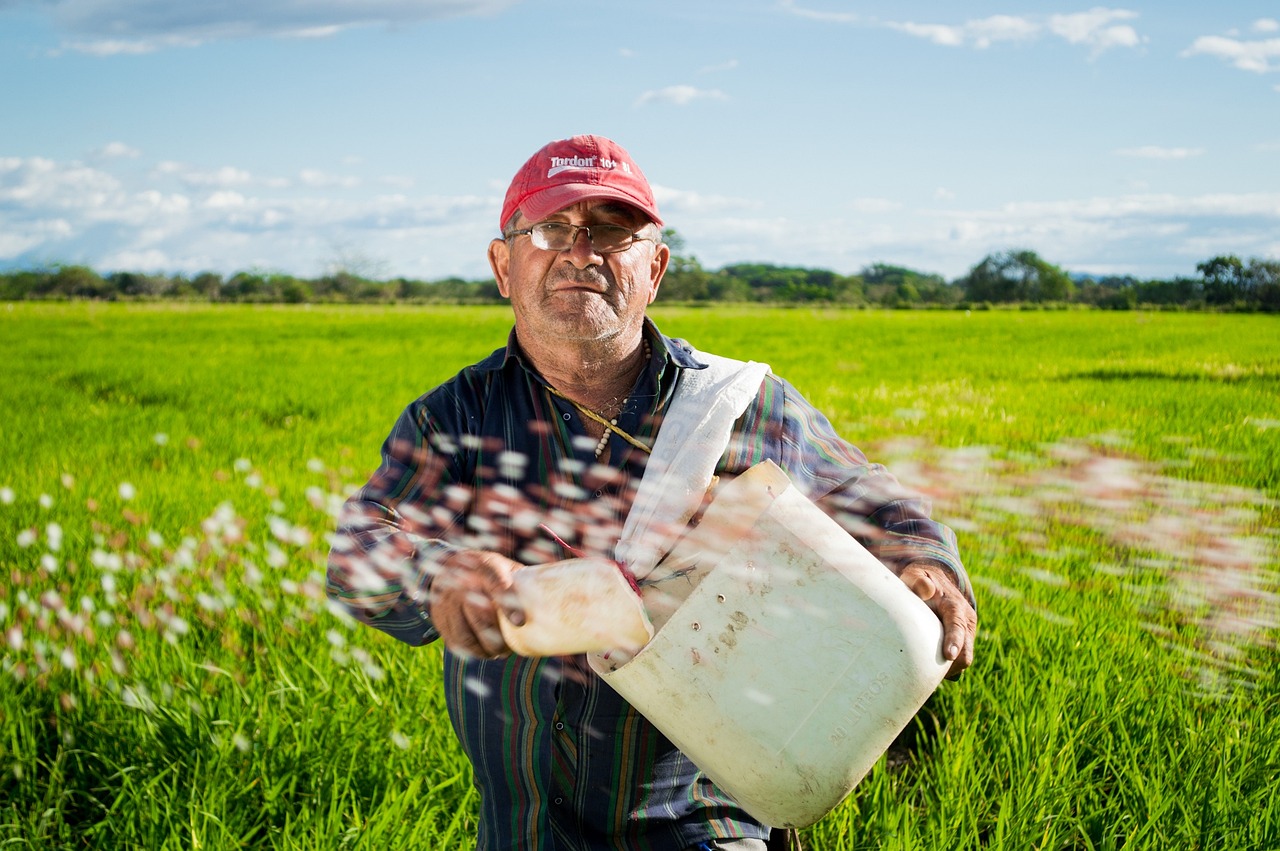raymond the rice farmer